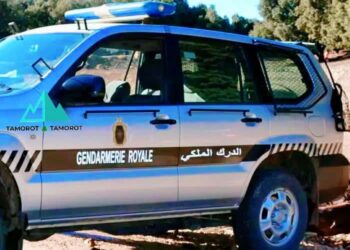 توقيف مروج للمخدرات القوية في باب برد بإقليم شفشاون