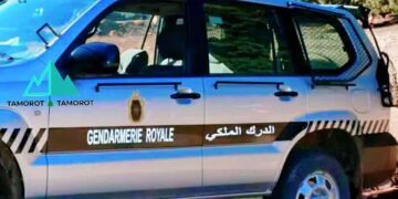 توقيف مروج للمخدرات القوية في باب برد بإقليم شفشاون