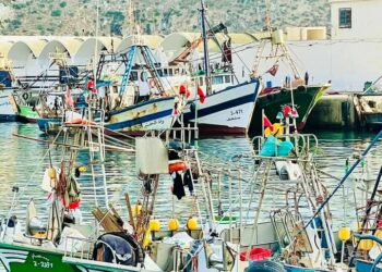 الحسيمة تفقد كنوز بحرها: تراجع خطير في الثروة السمكية وسط صمت مريب