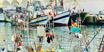 الحسيمة تفقد كنوز بحرها: تراجع خطير في الثروة السمكية وسط صمت مريب