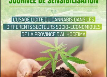 يوم تحسيسي في موضوع الاستعمال القانوني للقنب الهندي في مختلف القطاعات السوسيو اقتصادية بإقليم الحسيمة