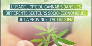 يوم تحسيسي في موضوع الاستعمال القانوني للقنب الهندي في مختلف القطاعات السوسيو اقتصادية بإقليم الحسيمة