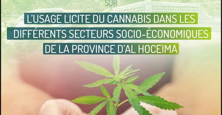 يوم تحسيسي في موضوع الاستعمال القانوني للقنب الهندي في مختلف القطاعات السوسيو اقتصادية بإقليم الحسيمة