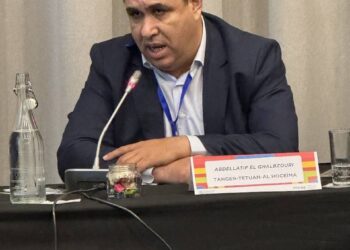 جهة طنجة-تطوان-الحسيمة في قلب الجهود المتوسطية للعمل المناخي: مشاركة فعالة في اجتماع MCAP بجنوب إفريقيا