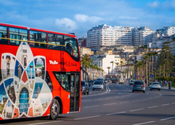 سلطات طنجة تبدأ حملة لإزالة “البرابولات” واللافتات العشوائية استعداداً لكأس إفريقيا