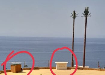 اكشاك تتناسل  كالفطر بمدينة الحسيمة