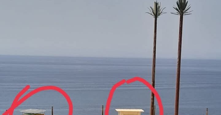 اكشاك تتناسل  كالفطر بمدينة الحسيمة