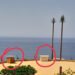 اكشاك تتناسل  كالفطر بمدينة الحسيمة