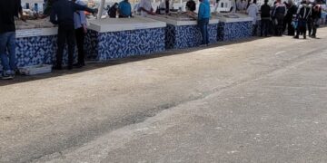 سيبة أمنية وفوضى عارمة بميناء الحسيمة… 