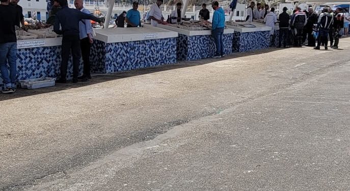 سيبة أمنية وفوضى عارمة بميناء الحسيمة…