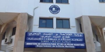 حركة انتقالية مرتقبة بمندوبية الصيد البحري بالحسيمة