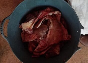 الصيف والتسممات الغذائية خطر يهدد المواطنين بالحسيمة : 