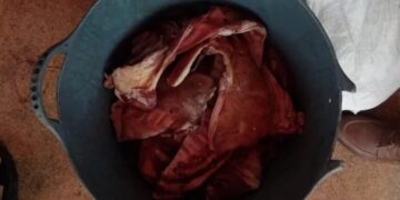 الصيف والتسممات الغذائية خطر يهدد المواطنين بالحسيمة : 