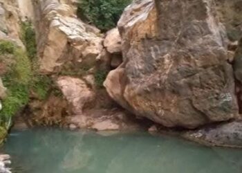 ” الصحة الطبيعية في خدمة التنمية شعار الملتقى الأول لعين الحمراء باكزناين / إقليم تازة