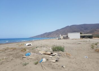 رمال شاطئ الحرش تتحول الى مرتع للكلاب المحتضنة وليس الضالة