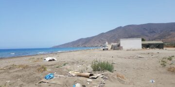 رمال شاطئ الحرش تتحول الى مرتع للكلاب المحتضنة وليس الضالة