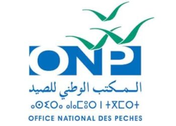 قيمة منتجات الصيد الساحلي والتقليدي المسوقة في النصف الاول من سنة 2025