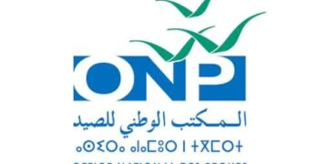 قيمة منتجات الصيد الساحلي والتقليدي المسوقة في النصف الاول من سنة 2025