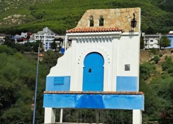 ساكنة شفشاون ترفع عريضة باحداث مركز اقليمي لعلاج مرضى السرطان