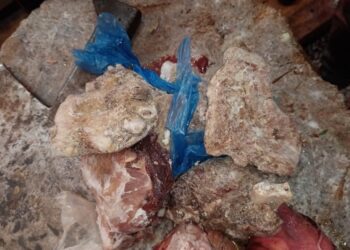 حجز لحوم فاسدة كانت متوجهة نحو بطون التطوانيين