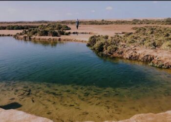 انتخاب المغرب لعضوية اللجنة الدائمة لاتفاقية رامسار (2025-2028): اعتراف دولي في شلالات فيكتوريا