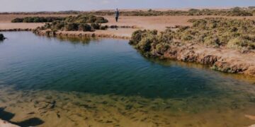 انتخاب المغرب لعضوية اللجنة الدائمة لاتفاقية رامسار (2025-2028): اعتراف دولي في شلالات فيكتوريا