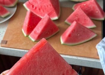 صادرات المملكة من البطيخ الاحمر يعرف انتعاشة ملحوظة : 