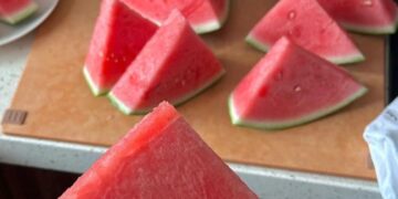 صادرات المملكة من البطيخ الاحمر يعرف انتعاشة ملحوظة : 