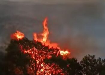 غابات منطقة شمال المغرب الأكثر تعرضا لتهديدات الحرائق