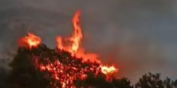 غابات منطقة شمال المغرب الأكثر تعرضا لتهديدات الحرائق