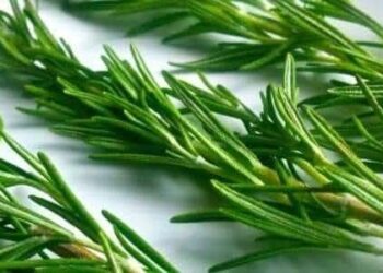 مختبر الكيمياء الجزيئية و المواد و البيئة بالكلية المتعددة التخصصات بالناظور ينظم مؤتمرا دوليا