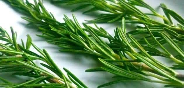 مختبر الكيمياء الجزيئية و المواد و البيئة بالكلية المتعددة التخصصات بالناظور ينظم مؤتمرا دوليا