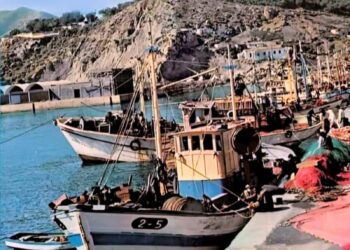 معايير وكيفيات احتساب أيام الاشتراك برسم نظامCNSS للبحارة الصيادين بالمحاصة: 