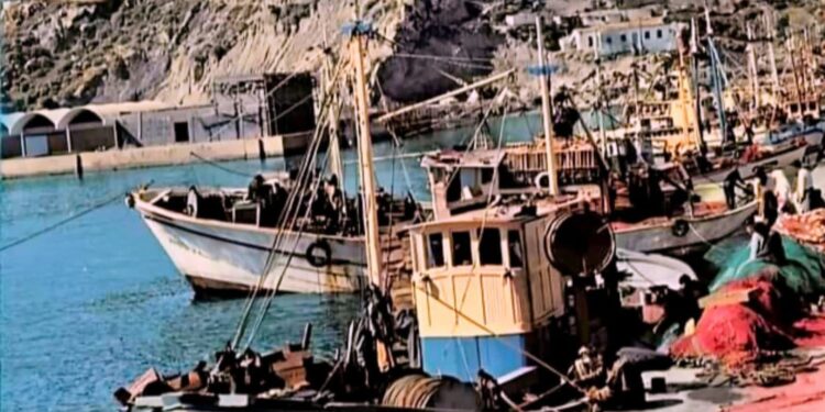 معايير وكيفيات احتساب أيام الاشتراك برسم نظامCNSS للبحارة الصيادين بالمحاصة: 