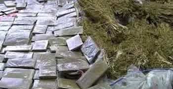 صيد ثمين لمصالح الامن بالحسيمة