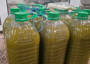 “أونسا” تفند شائعات إرجاع شحنة زيت الزيتون المغربي وتؤكد مطابقة المنتوج للمعايير الصحية الدولية: 