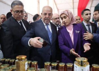 أكنول تازة : افتتاح الدورة التاسعة لمهرجان اللوز: 