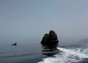 التزامات وطنية ودولية في المحافظة على البيئة البحرية : 