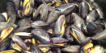 منع جمع و تسويق صدفيات البرير الصغير ( petite praire ) بالمنطقة البحرية بين راس كبدانة و السعيدية :