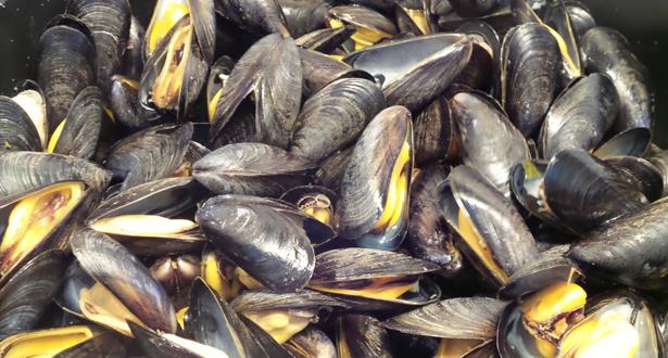 منع جمع و تسويق صدفيات البرير الصغير ( petite praire ) بالمنطقة البحرية بين راس كبدانة و السعيدية :