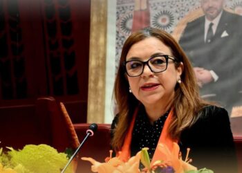 قرار وزاري بتنظيم مهنة العامل الاجتماعي : 