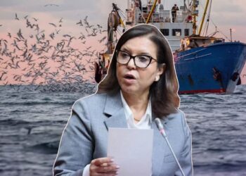 مواعيد مهمة بقطاع الصيد البحري :