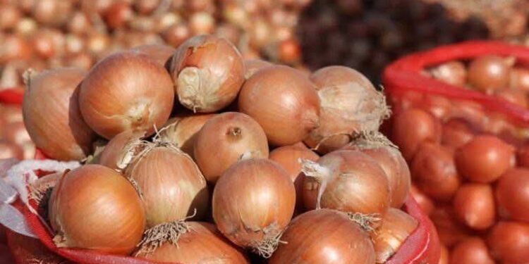 في موجة جديدة لارتفاع الاسعار : ثمن البصل يعرف ارتفاعا ملحوظا بالحسيمة :  