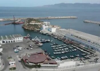 خريطة طريق الصيد البحري 2025-2027: رؤية عملية لإعادة تموقع قطاع استراتيجي : 