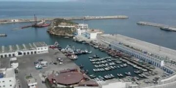 خريطة طريق الصيد البحري 2025-2027: رؤية عملية لإعادة تموقع قطاع استراتيجي : 