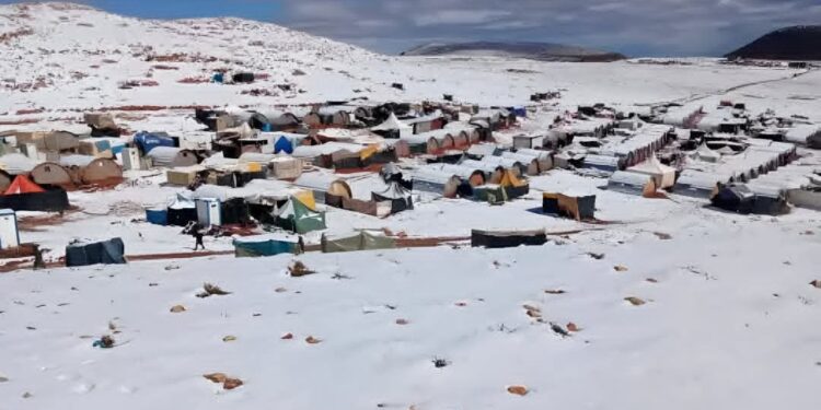 عشرات الهيئات الحقوقية والسياسية الوطنية والدولية تطالب بإنصاف ضحايا زلزال الحوز وتصدر بلاغا مشتركا في الموضوع