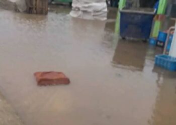 فرع الجمعية المغربية لحقوق الانسان بتازة يقارب واقع سوق الجملة بالمدينة : 