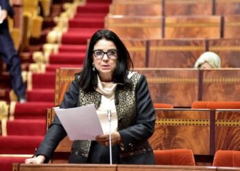 ادما ج اللغة الأمازيغية في الإدارة محور جلسة برلمانية بحضور وزيرة الدولة للتحول الرقمي و الاصلاح الاداري : امل الفلاح السغروشني : 