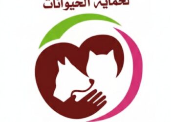 المنظمة الاجتماعية لحماية الحيوانات تصدر بلاغا حول ما اسمته انحرافا خطيرا في النقاش العمومي المتعلق بقتل الكلاب والقطط: 