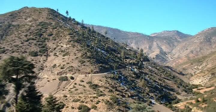 السيول والانهيارات الأرضية، تكشف فشل سياسات التدبير المجال الغابوي.